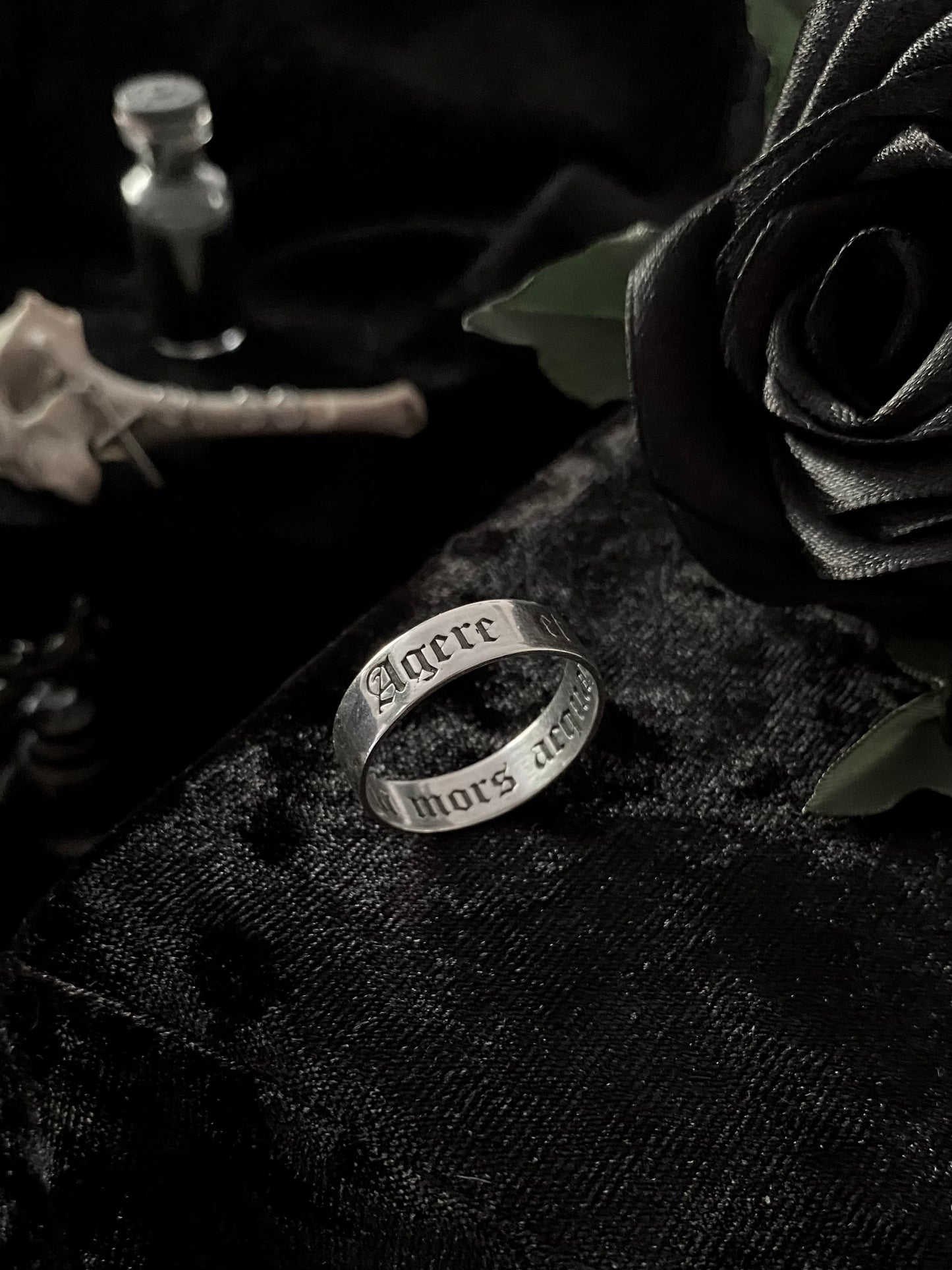 Aeternum Sanguinum Romance